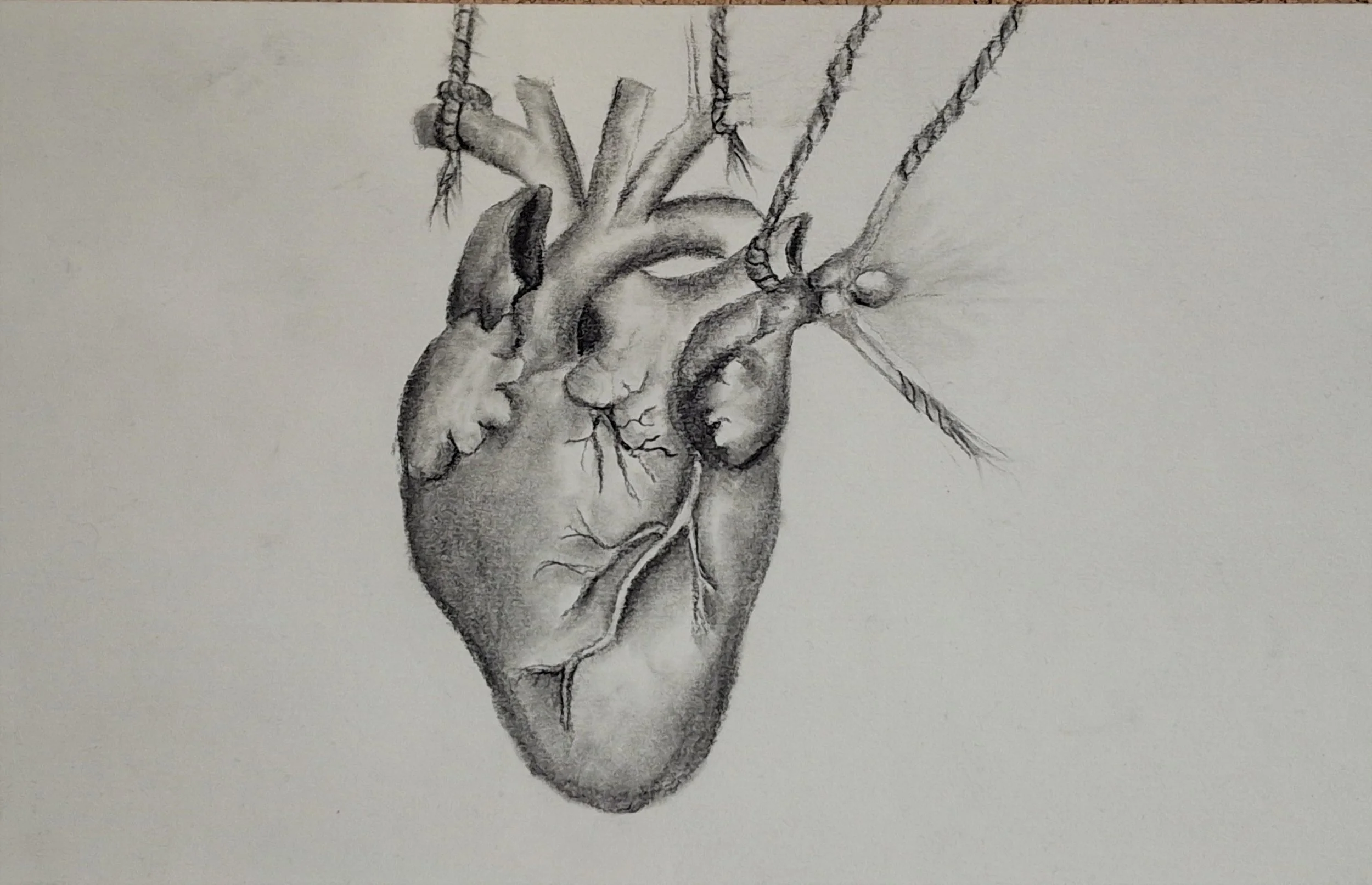 20250310_142301 (2).jpg