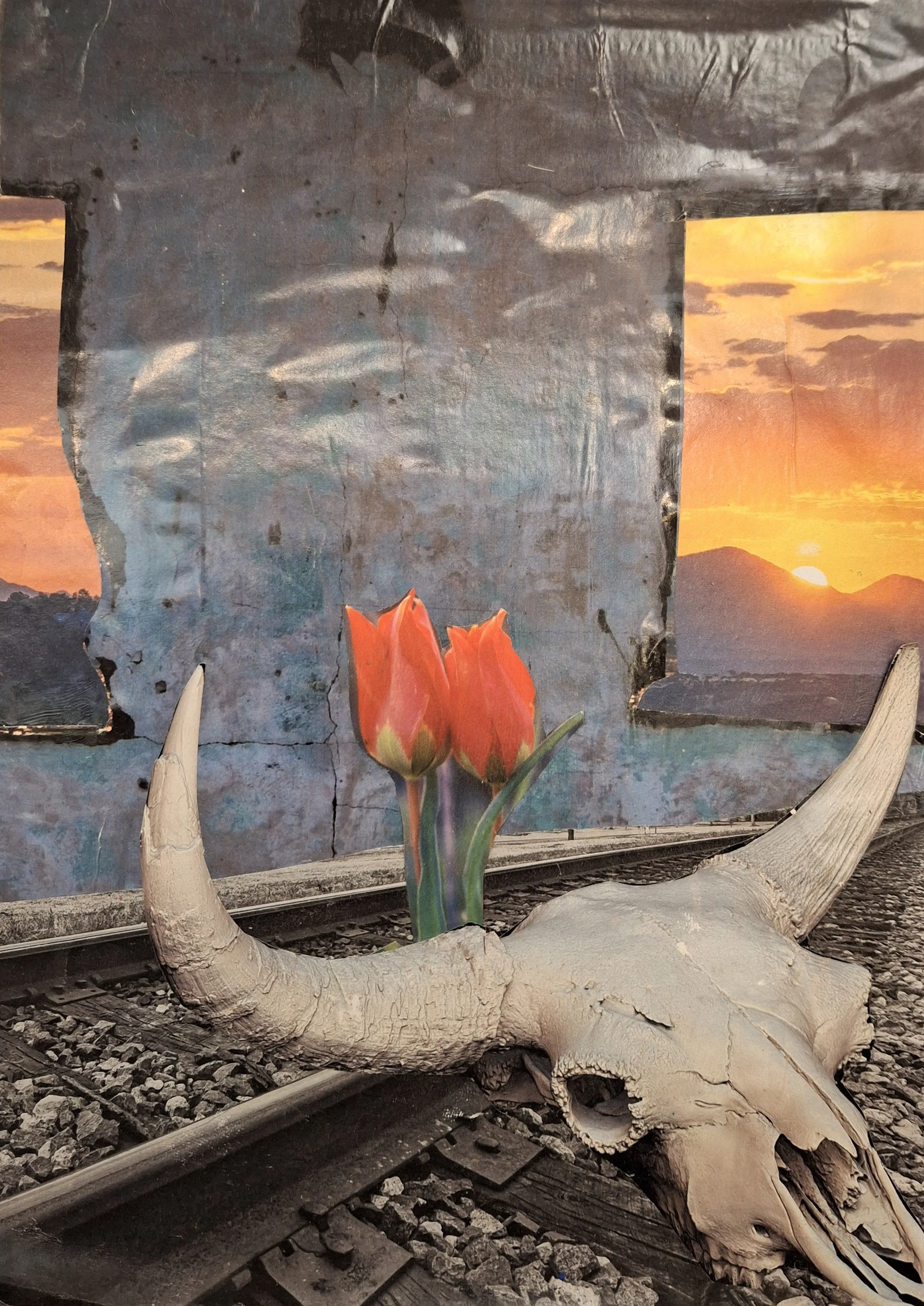 20250303_143012 (2).jpg