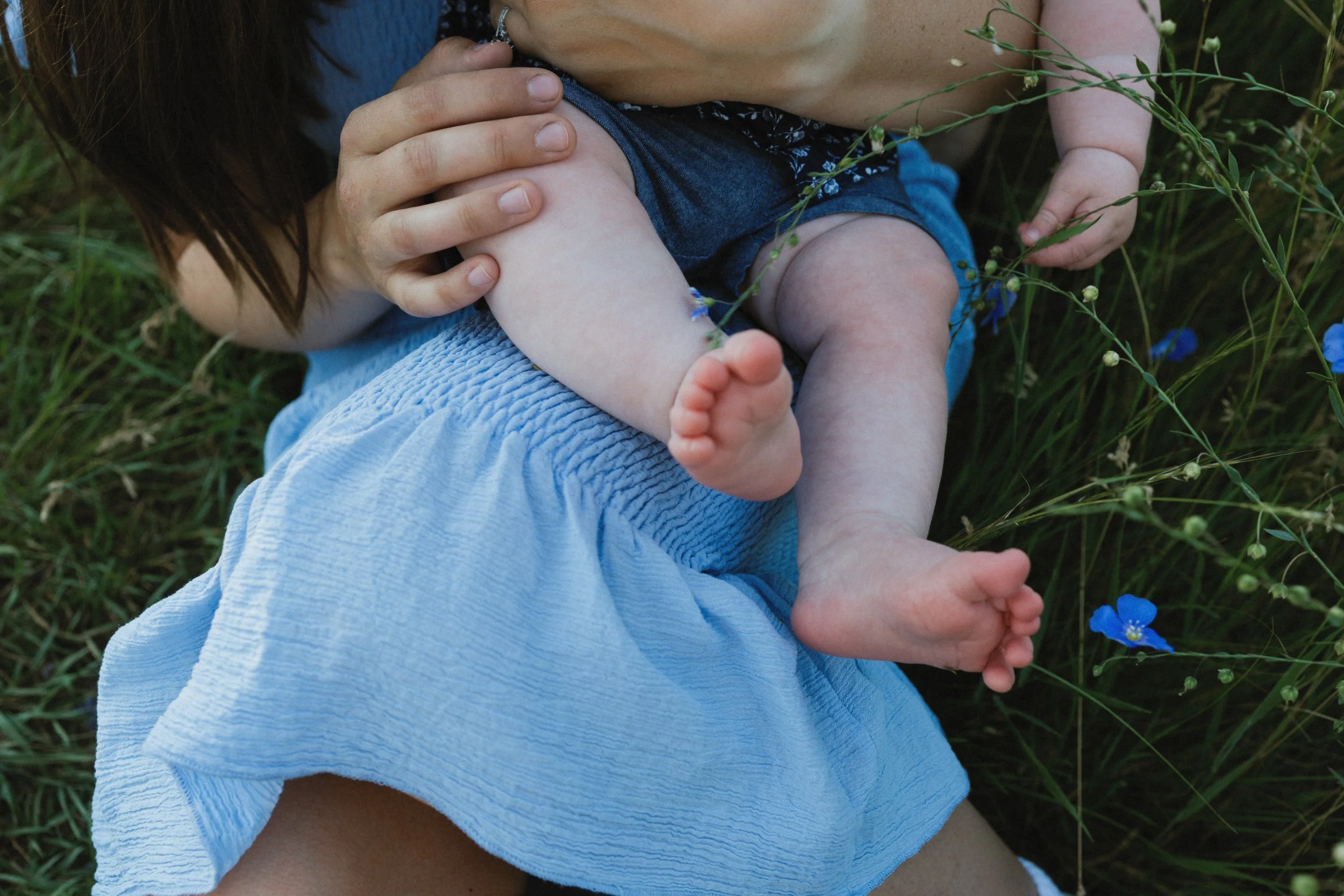 Close-up of a person holding a baby on their lap, with blue flowers and grass around them.