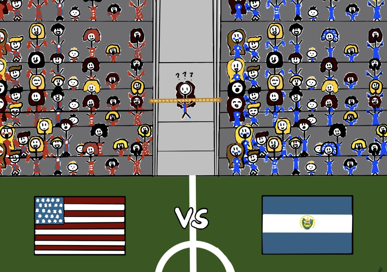 Torn Between Two Flags
