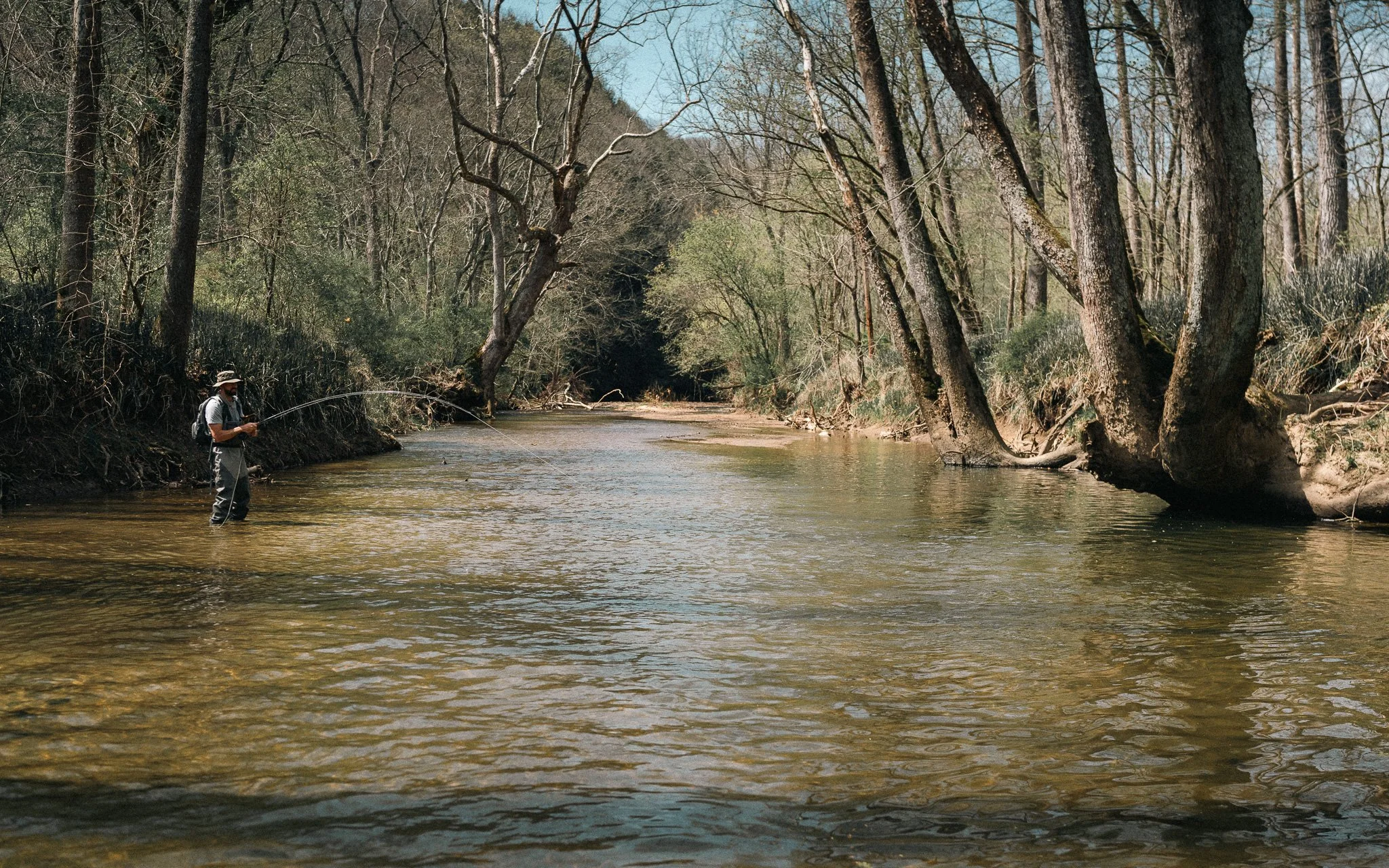 _DSC9485.jpg