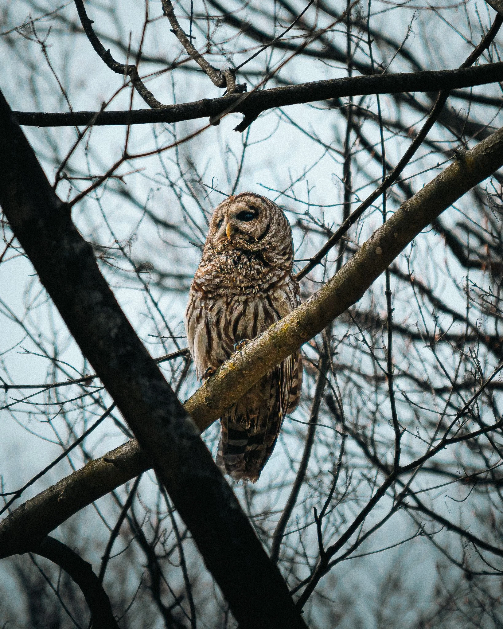 _DSC9565.jpg