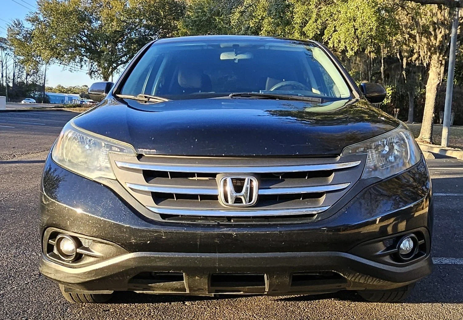 WhatsApp Image 2026-01-27 at 5.55.06 PM (1).jpeg