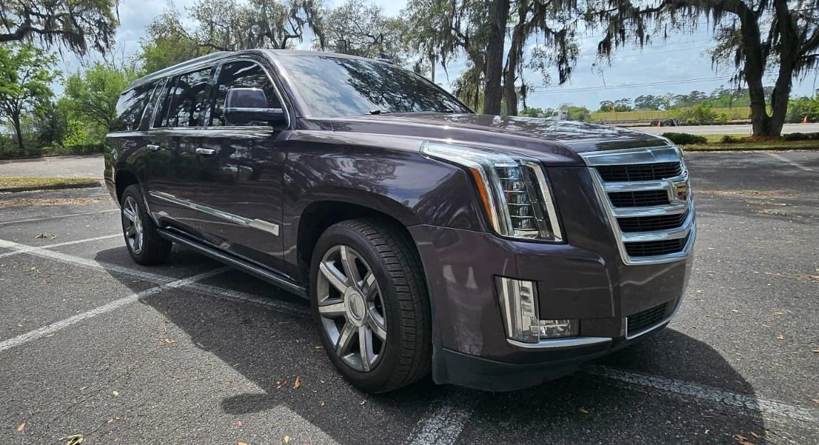 WhatsApp Image 2026-04-01 at 5.13.16 PM.jpeg