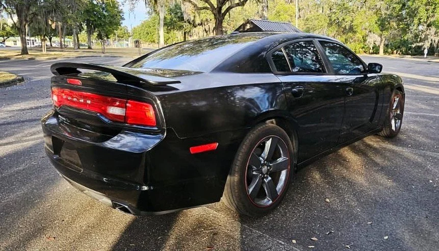 WhatsApp Image 2026-02-09 at 5.05.20 PM.jpeg