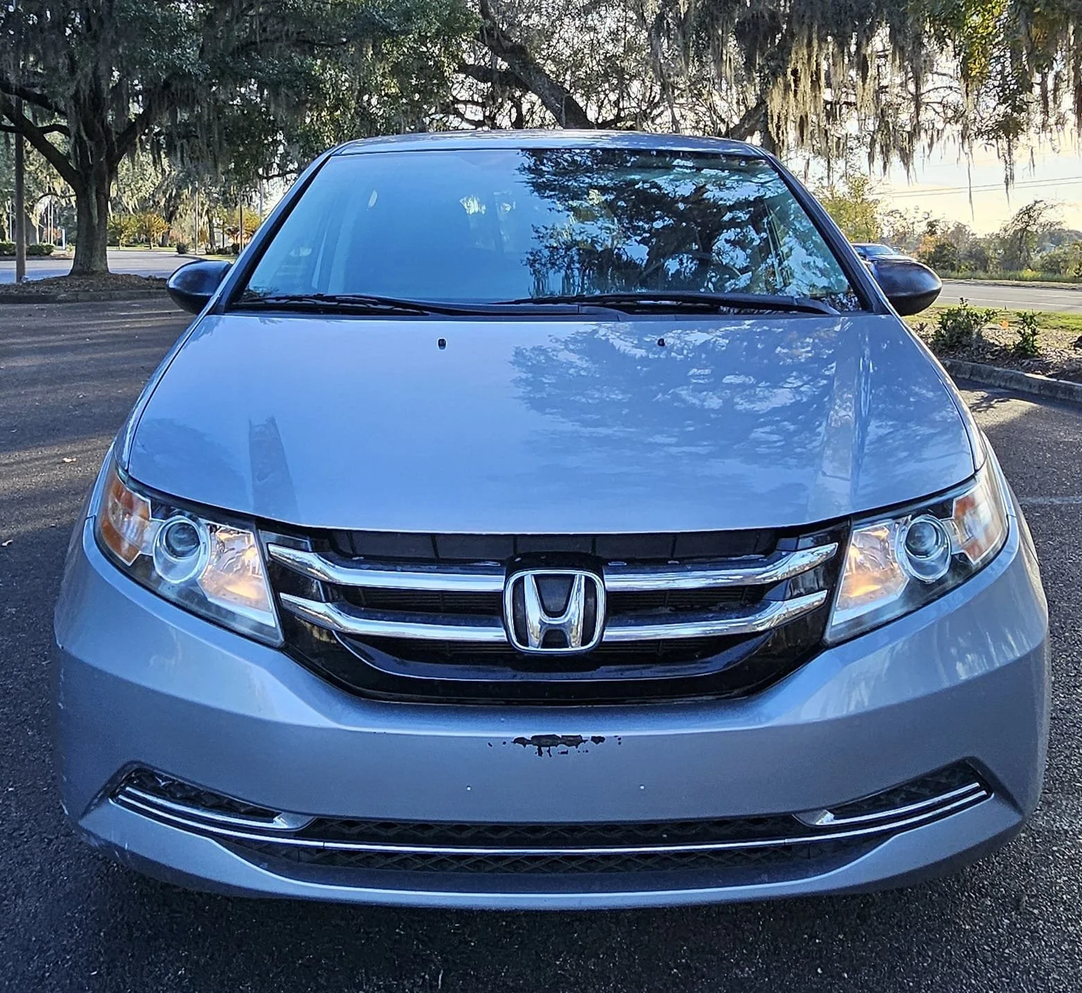 WhatsApp Image 2025-12-13 at 4.44.30 PM.jpeg