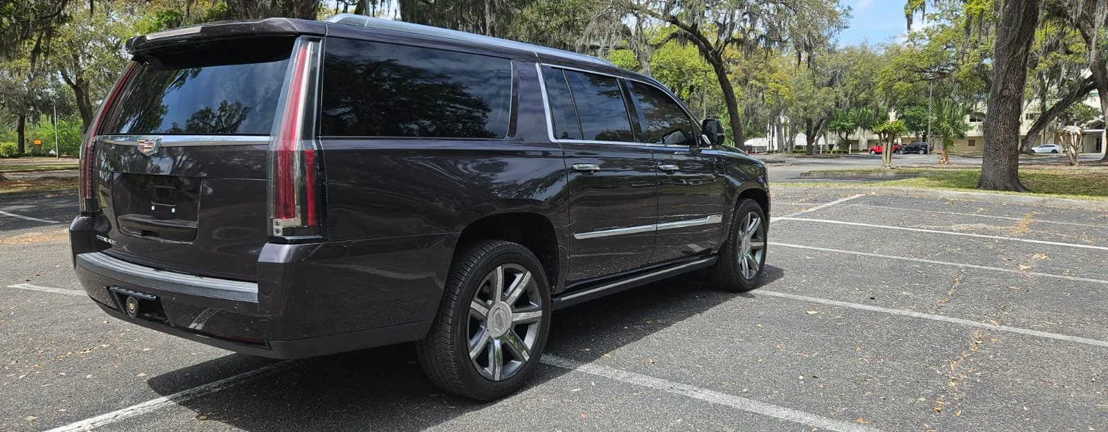 WhatsApp Image 2026-04-01 at 5.13.53 PM (4).jpeg