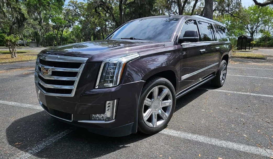 WhatsApp Image 2026-04-01 at 5.13.21 PM.jpeg