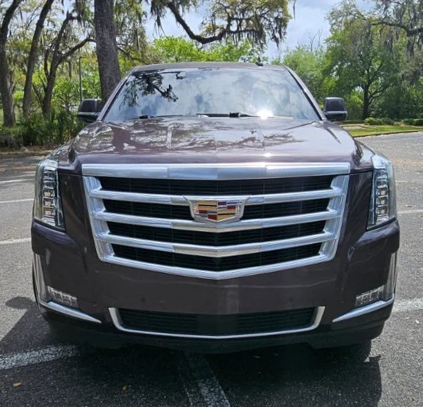 WhatsApp Image 2026-04-01 at 5.13.15 PM.jpeg