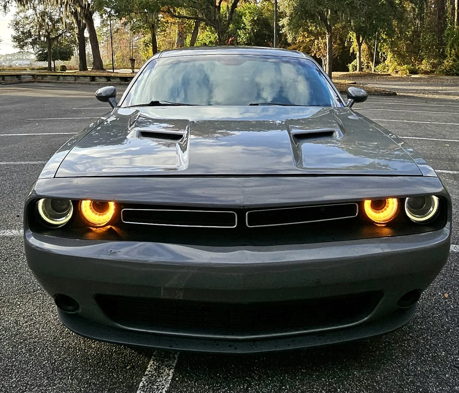 WhatsApp Image 2026-01-03 at 3.39.31 PM (4).jpeg