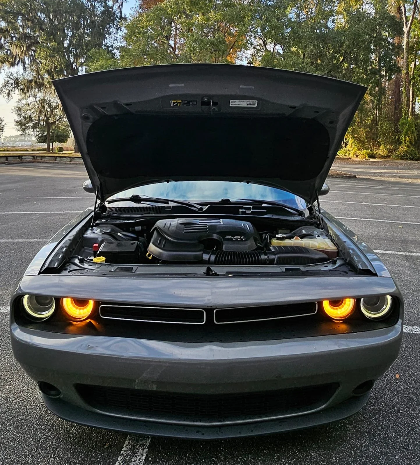 WhatsApp Image 2026-01-03 at 3.39.31 PM (5).jpeg