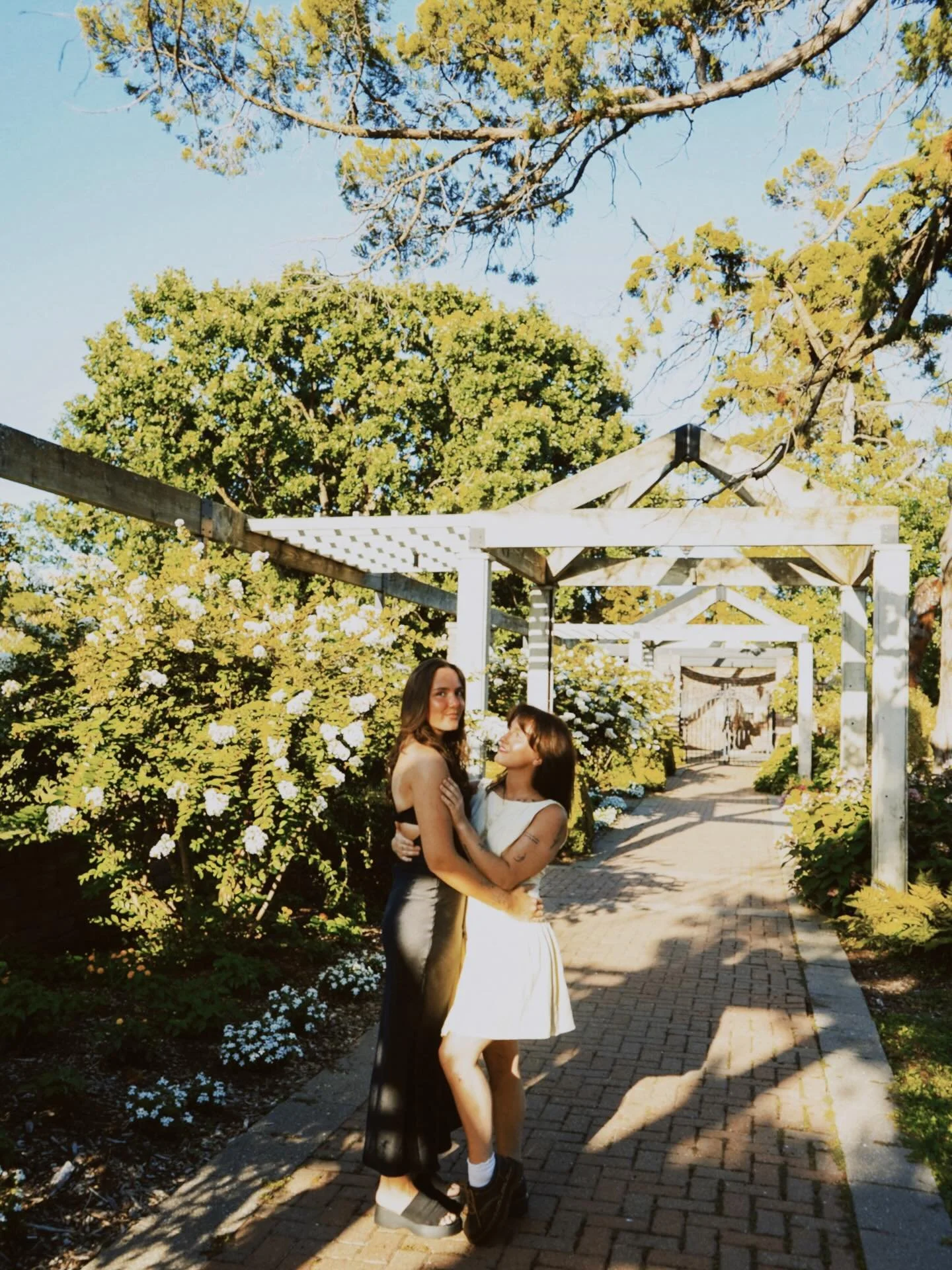 reminiscing on my favorite part of july, summer is falling