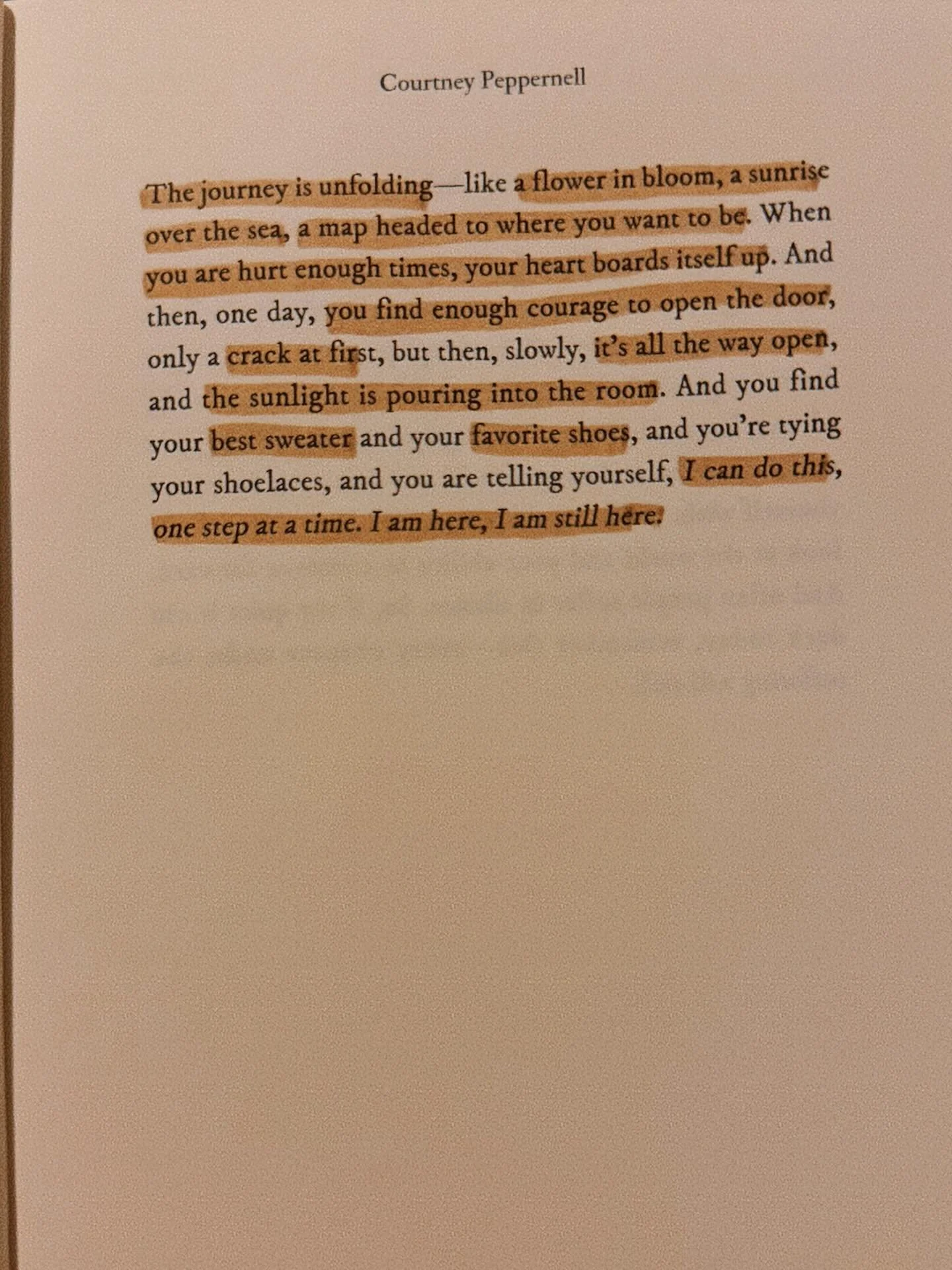 it&rsquo;s december and the company is beautiful, the growth is present, and the warmth is found in coffee and cocoa. 🫂🫀☕️