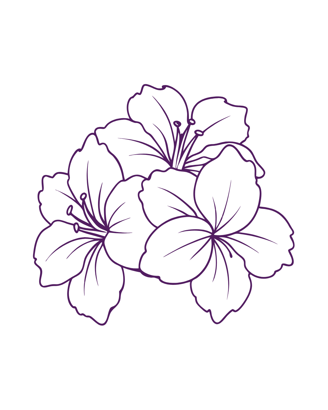 Outline of a cluster of flowers with prominent petals and stamens, sketched in purple on black background.