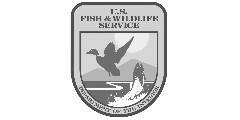 Fish Wildlife