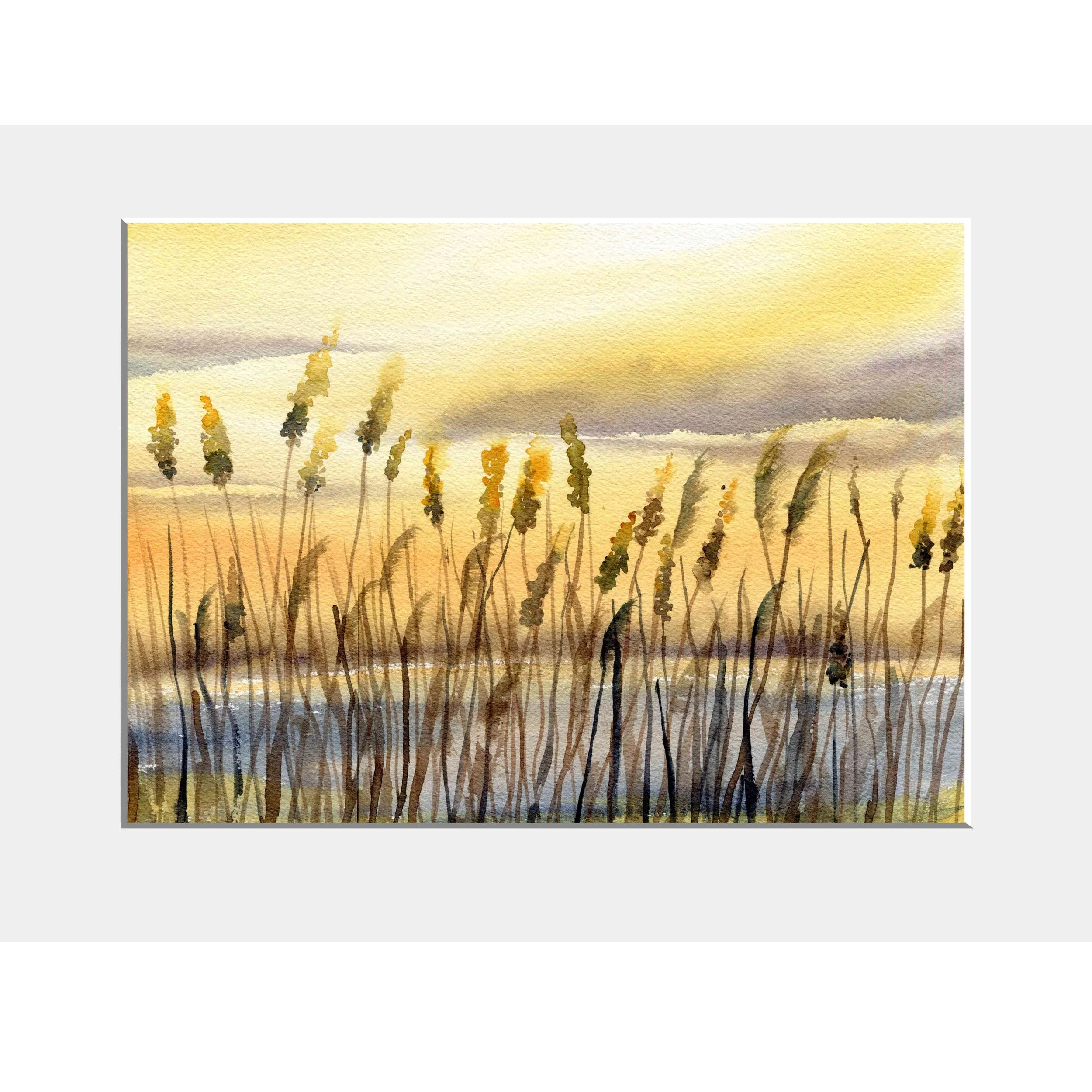 Schilf im Abendlicht, Passepartout 30 x 40 cm