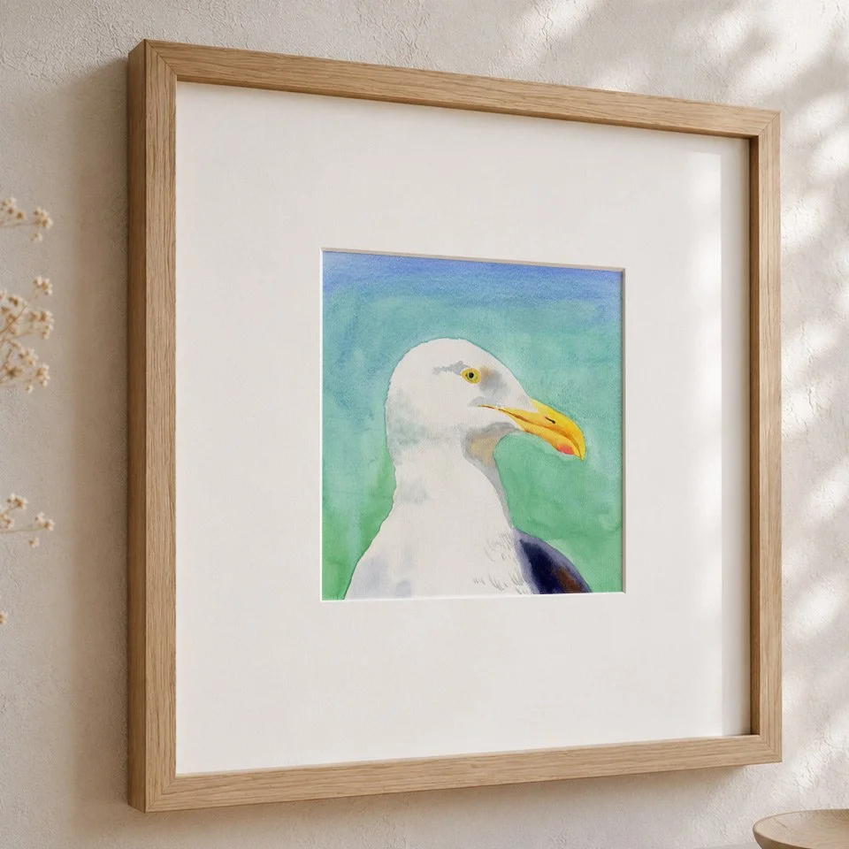 Neugierige Möwe, 19x19 cm, Passepartout 30x30 cm