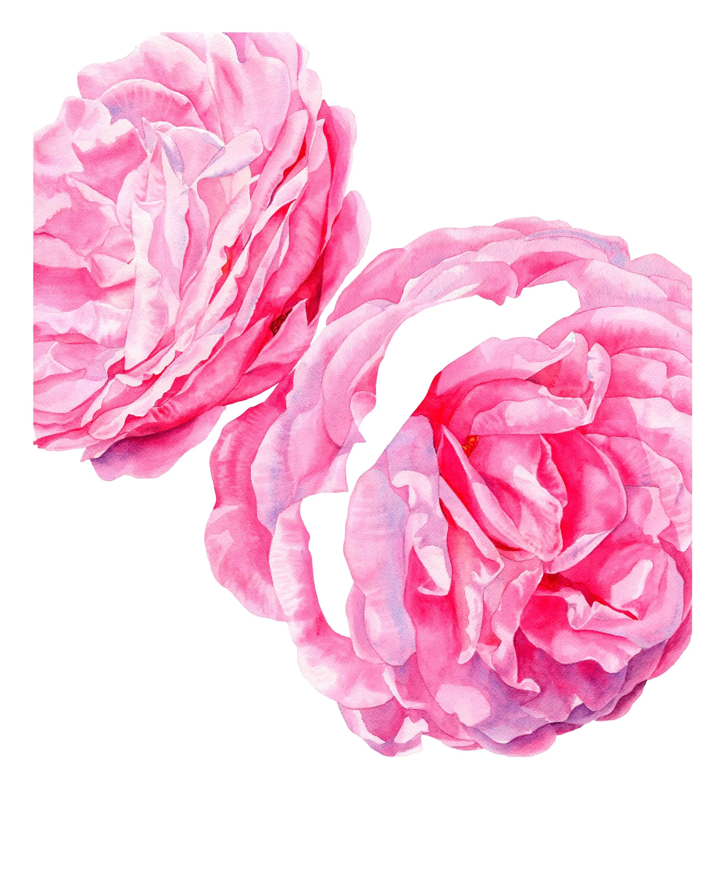 Weg, für Passepartout Ausschnitt 40 x 50cm Papier