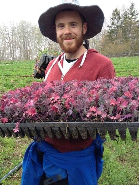 A man with a beard wearing a wide-brimmed hat, a red hoodie, and blue overalls holding a tray of pink and purple flowers outside on a farm or garden, with trees in the background.