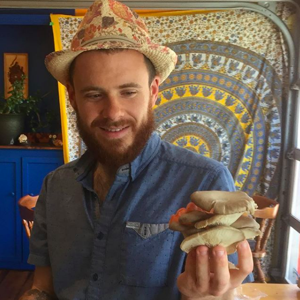 A man with a beard wearing a straw hat and a blue shirt, holding several mushrooms in his hand, inside a cozy room with colorful interior decor.