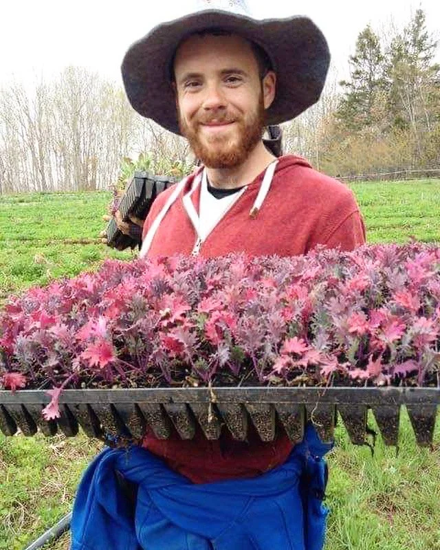 Chef Justin Andrews on farm holding tray of seedlings