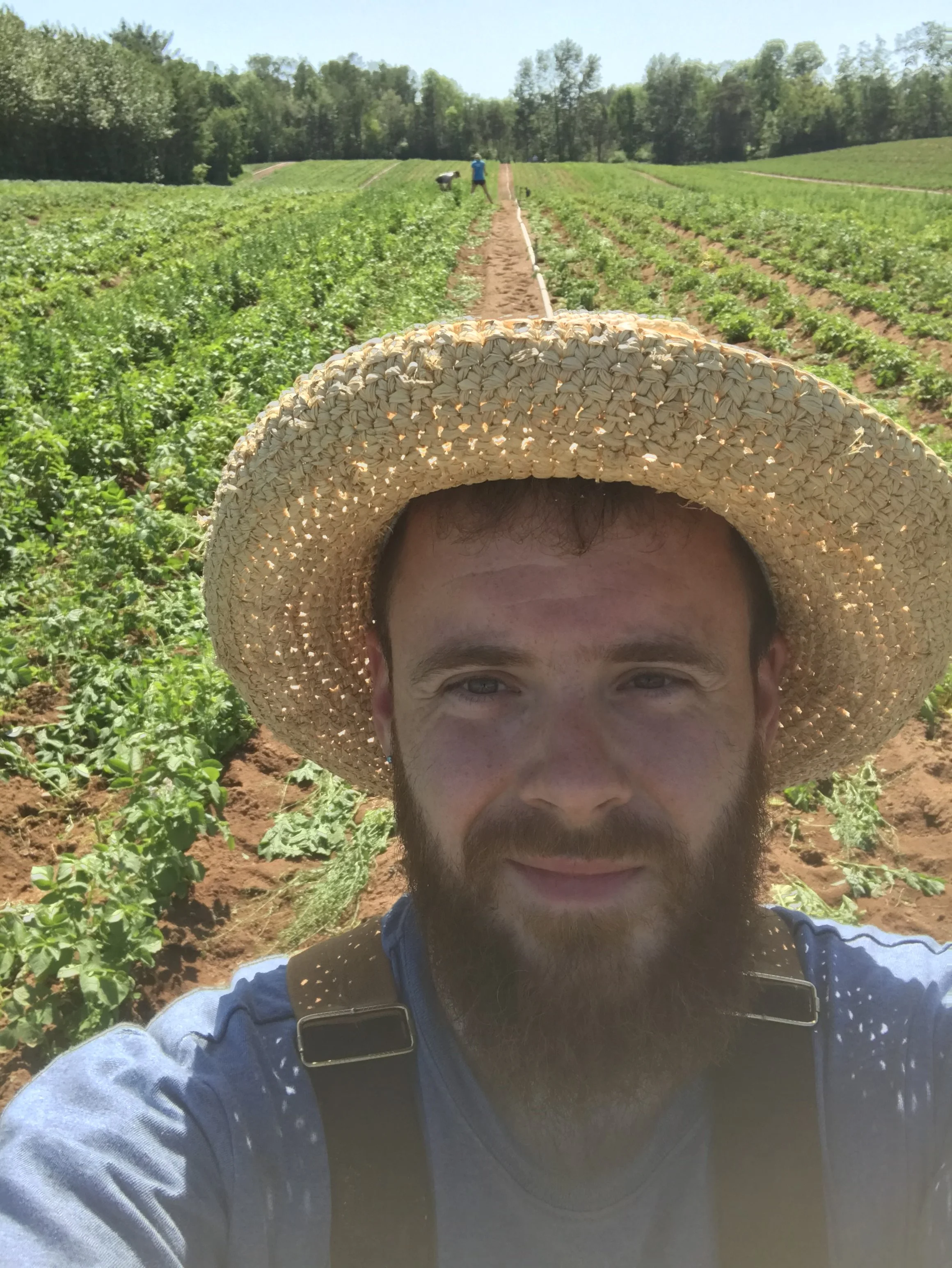 Chef Justin Andrews on farm with rows of potatoes behind