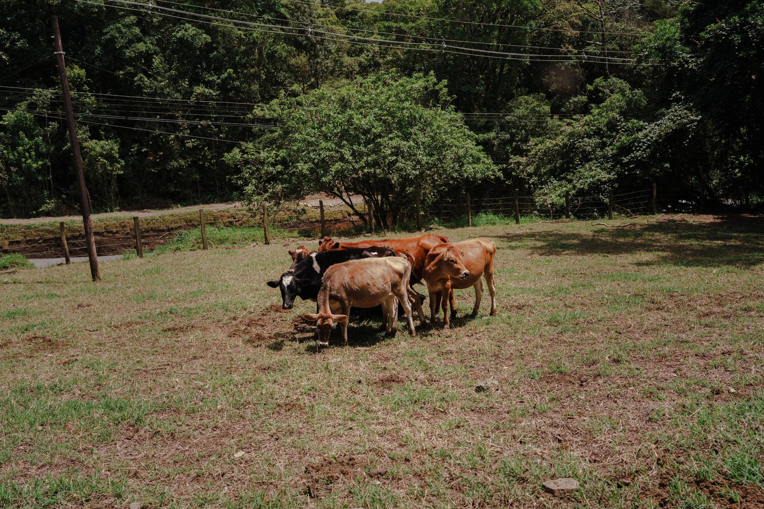 Hope-Mora-CostaRica-web-10.jpg
