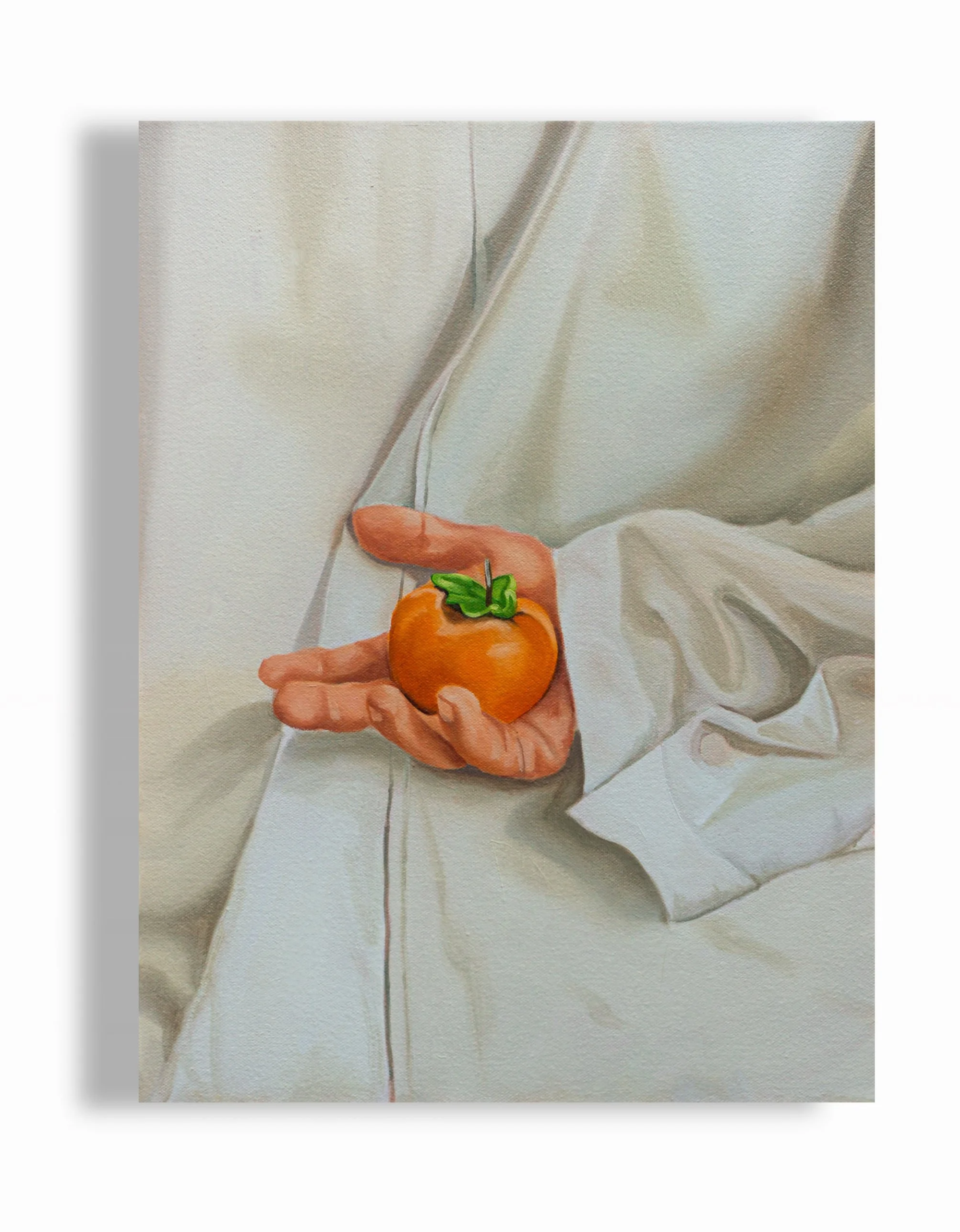 IMG_8833.png