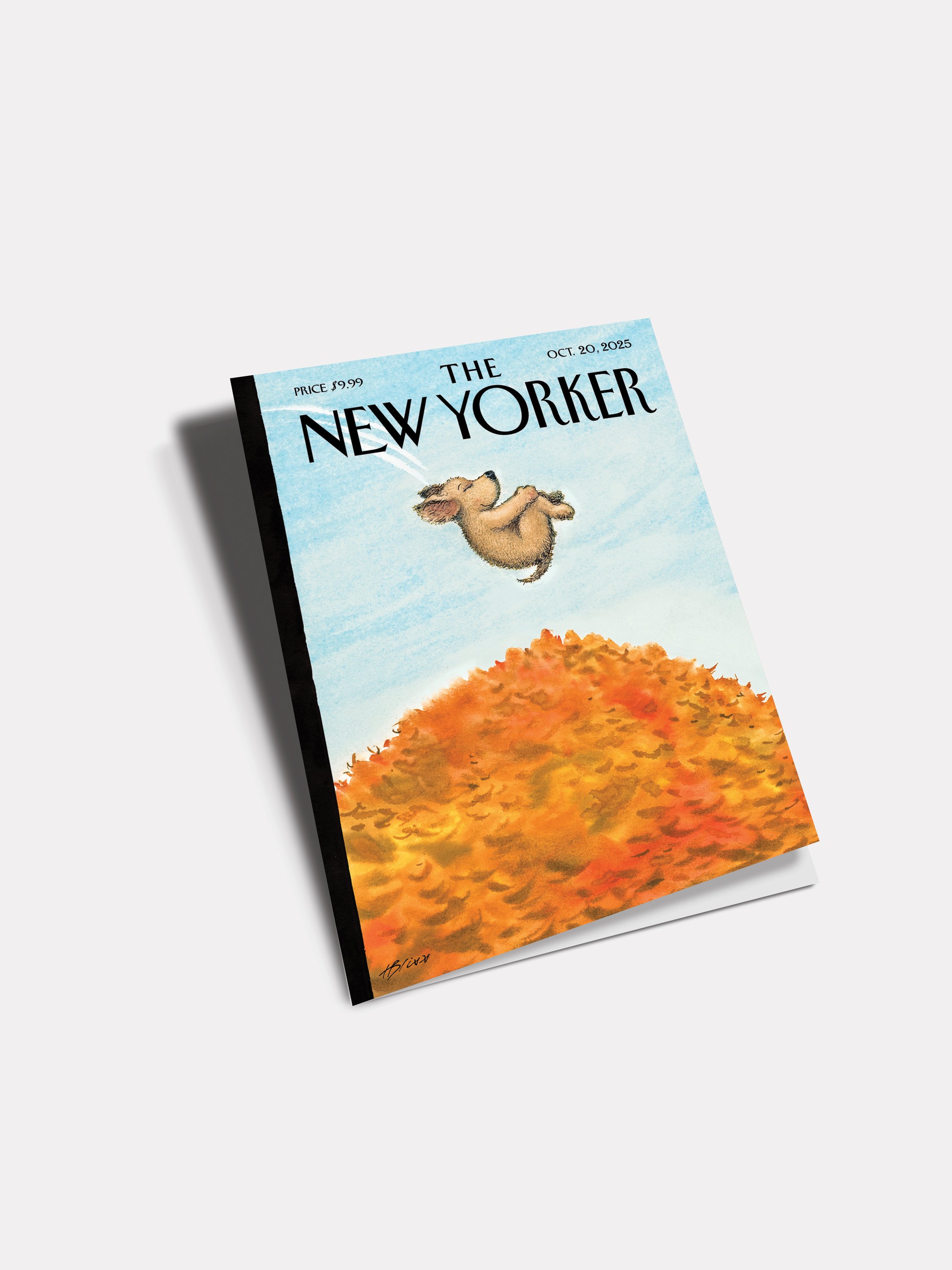 NYV197_2.jpg