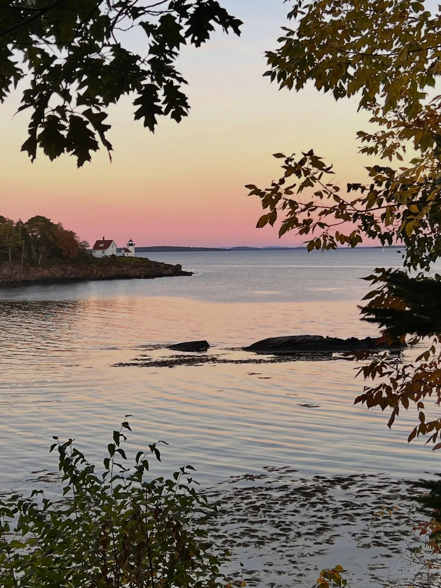 Fall is here!
.
#fallcolours 
#fallinmaine 
.
📸 @qdonleavy