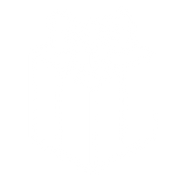 Icon of a wrapped gift box with a bow on top.