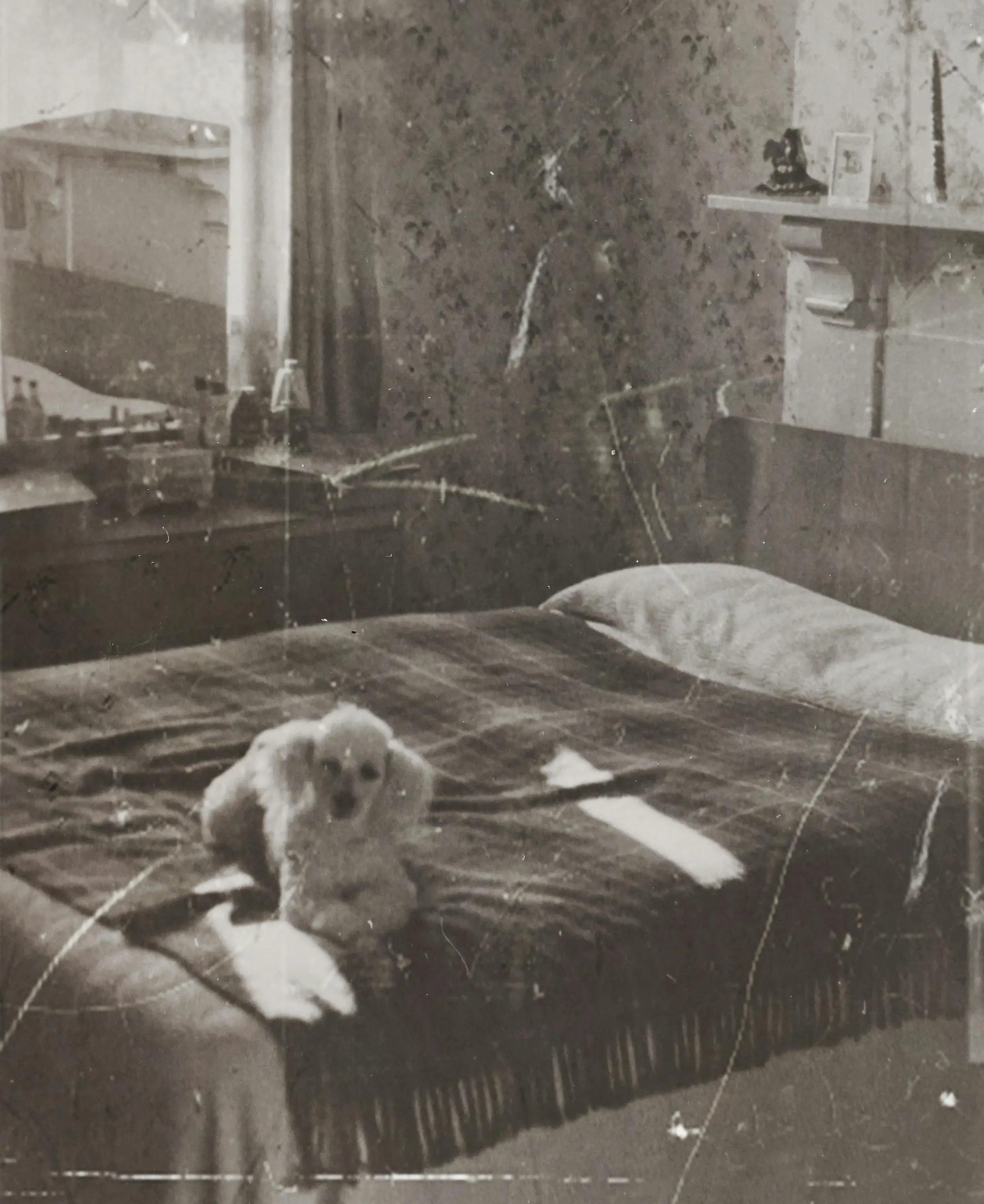 A vintage black and white photo of a dog sitting on a bed in a bedroom with a window