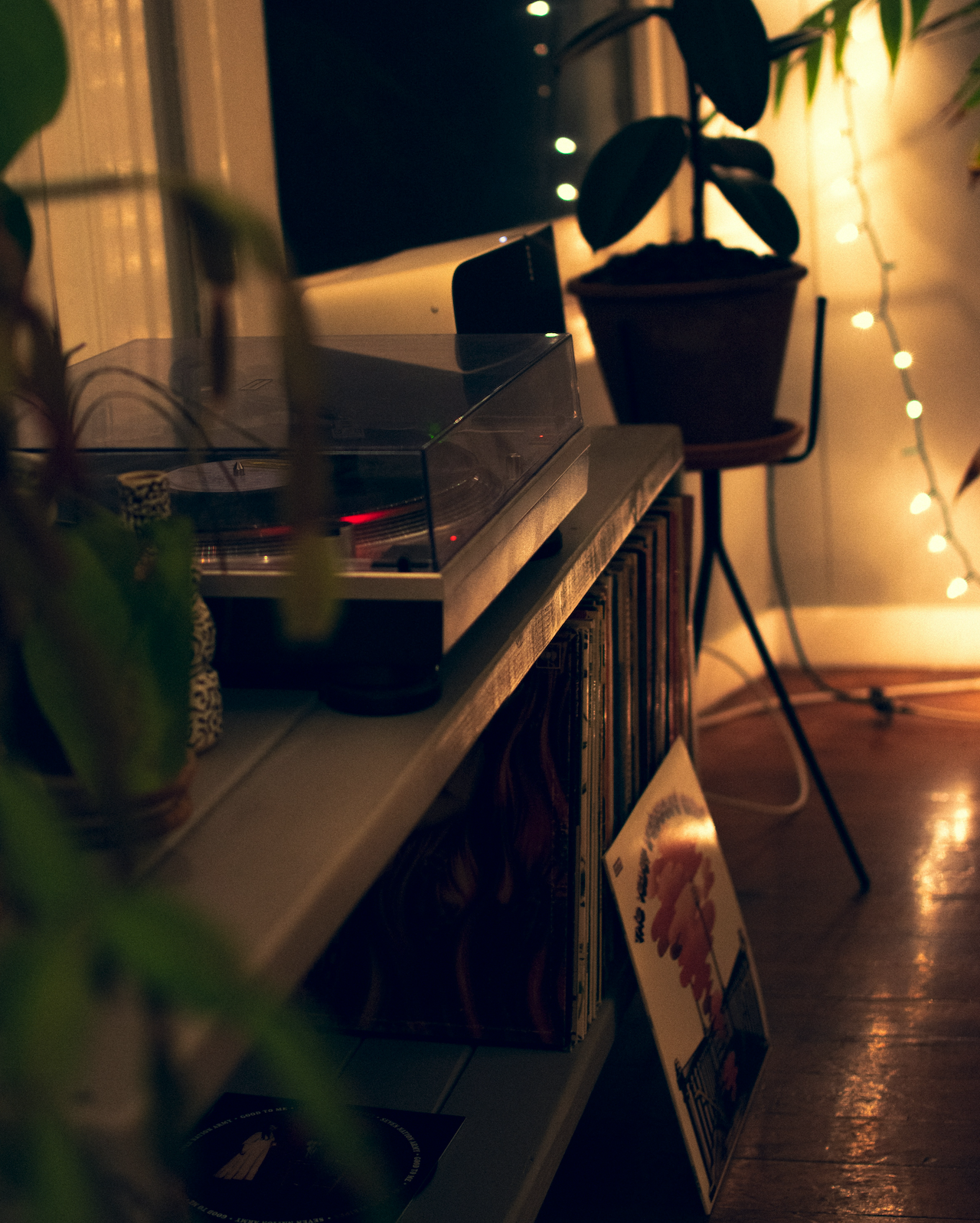 Do Plants Feel You? The Science of Plant Senses, Sound & "Plantasia"