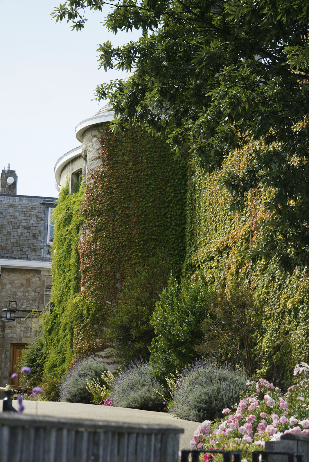 Plants That Changed Architecture