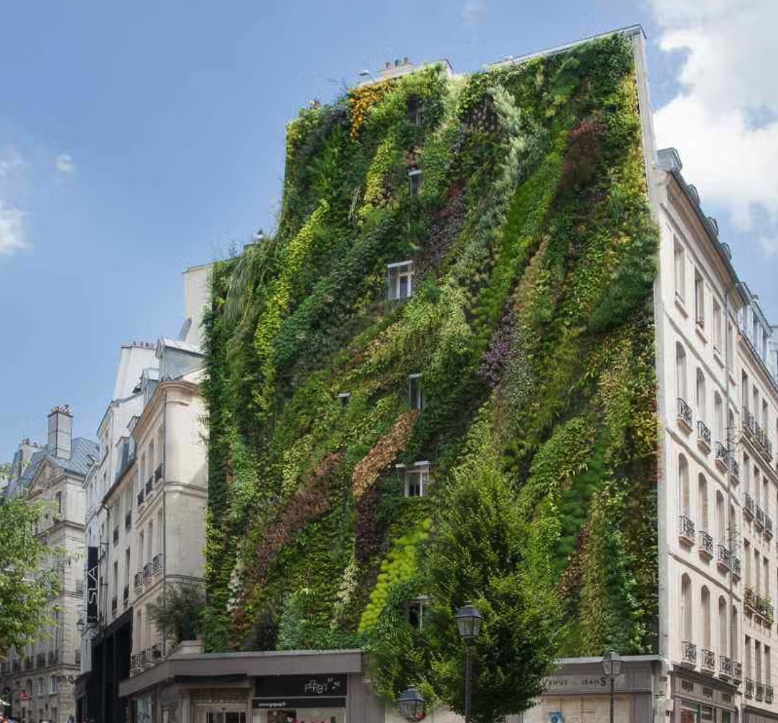 Architects Who Love Plants