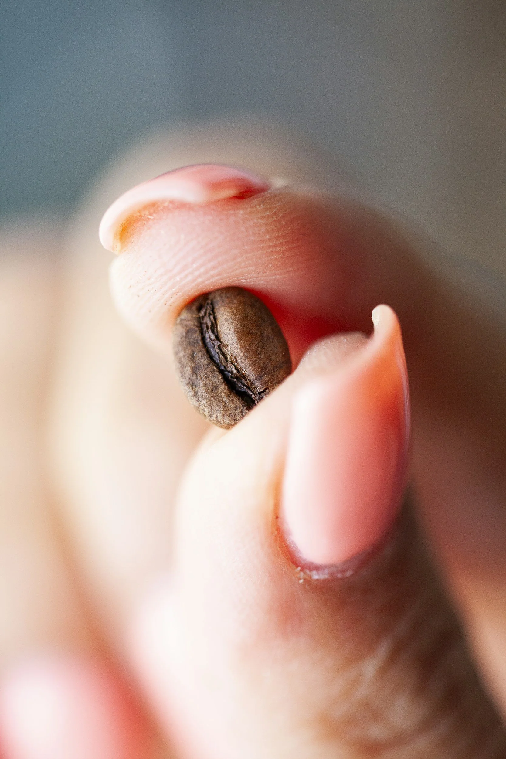 How Coffee Crosses the Line From Familiar to Extreme