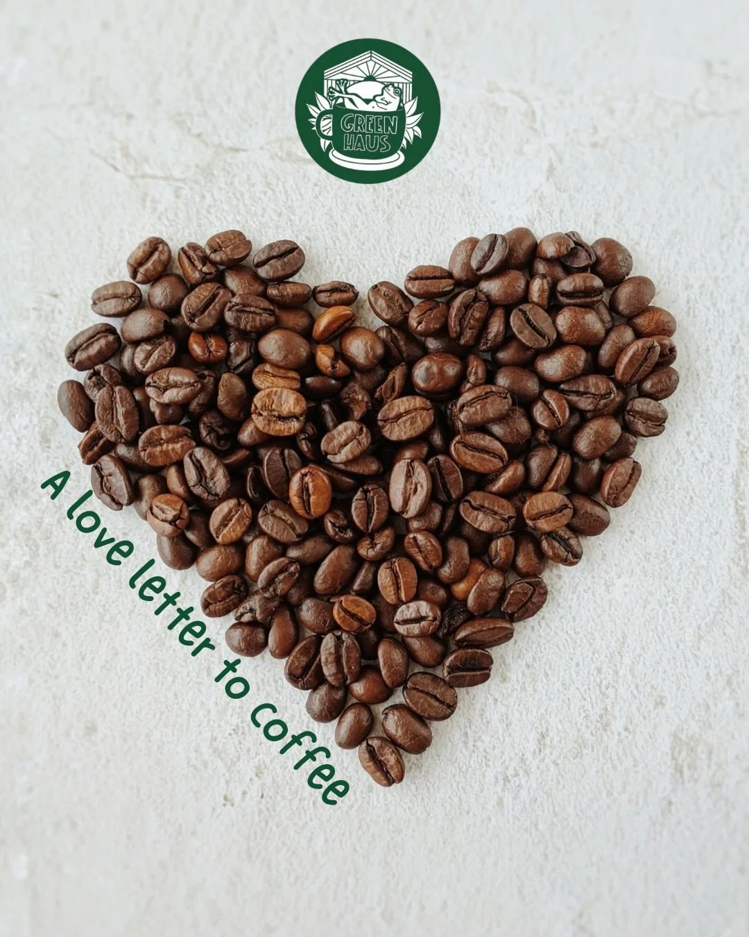 This started as a love for coffee and plants.
For slow mornings, shared tables, leafy corners, and conversations that linger a little longer.

Greenhaus has always been our love letter to thoughtful coffee, living things, and community. Every cup, ev