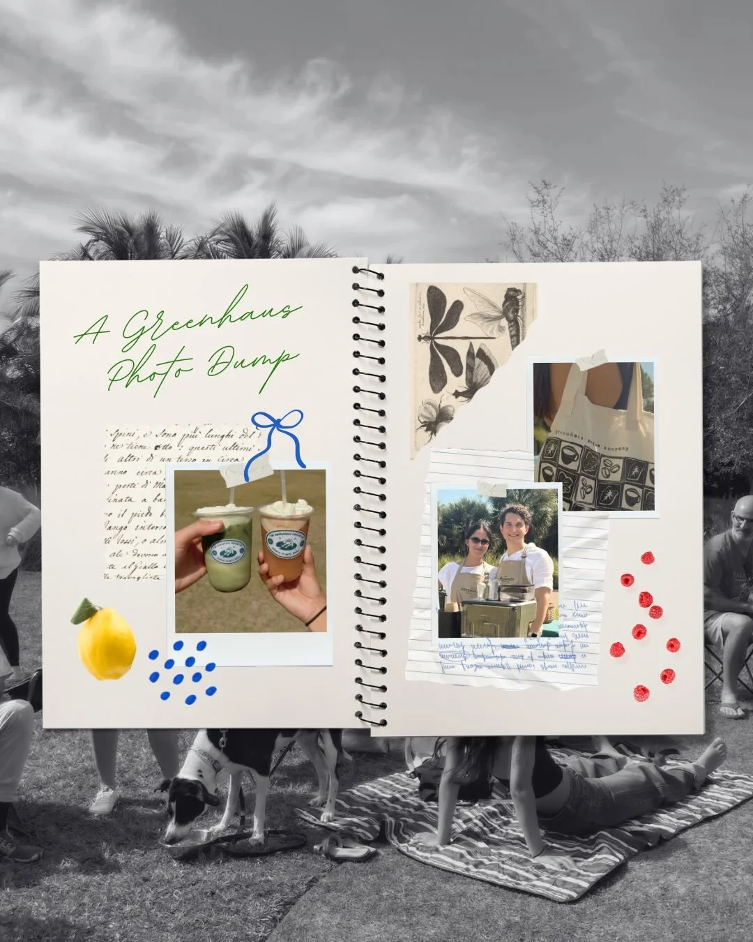 Can&rsquo;t wait to make more memories with you! 🐸
 ❤️ The Greenhaus Team