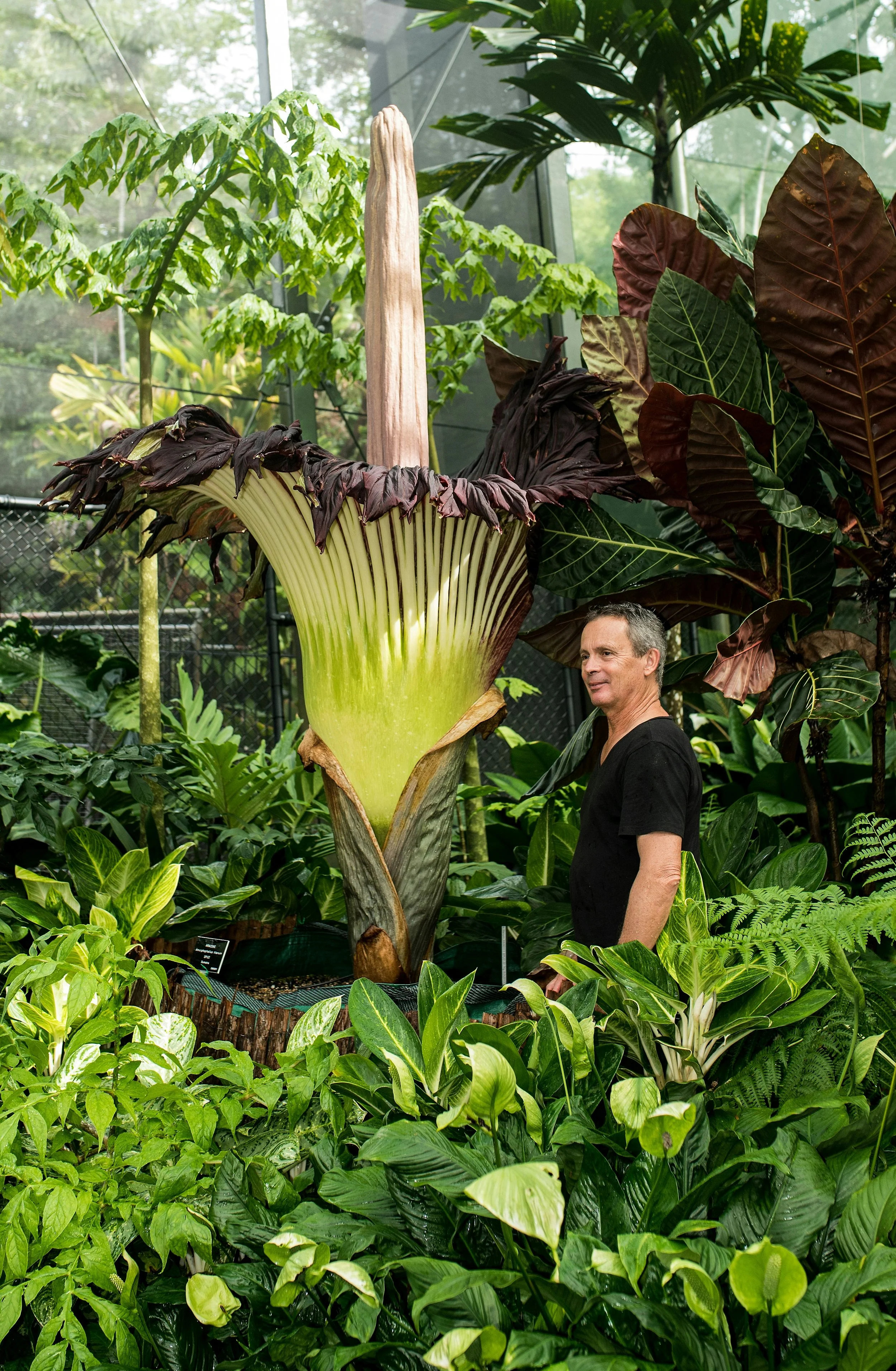 The World’s Most Unusual Plants