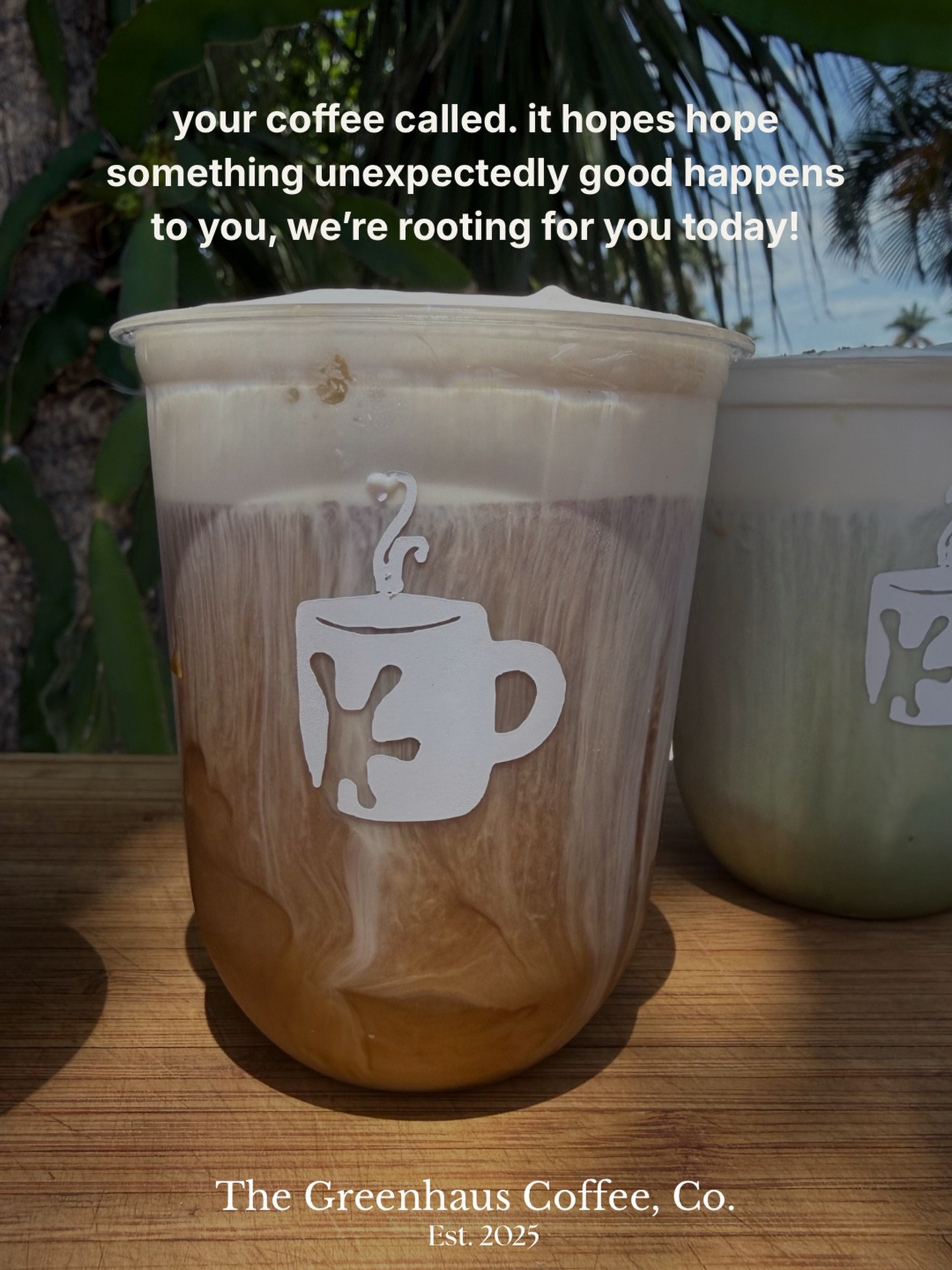 Just a little reminder from the Greenhaus team ♡

We hope your coffee tastes good, your mind feels a little quieter, and something unexpectedly lovely finds its way to you today.

Sometimes the smallest parts of the day end up being the ones we remem