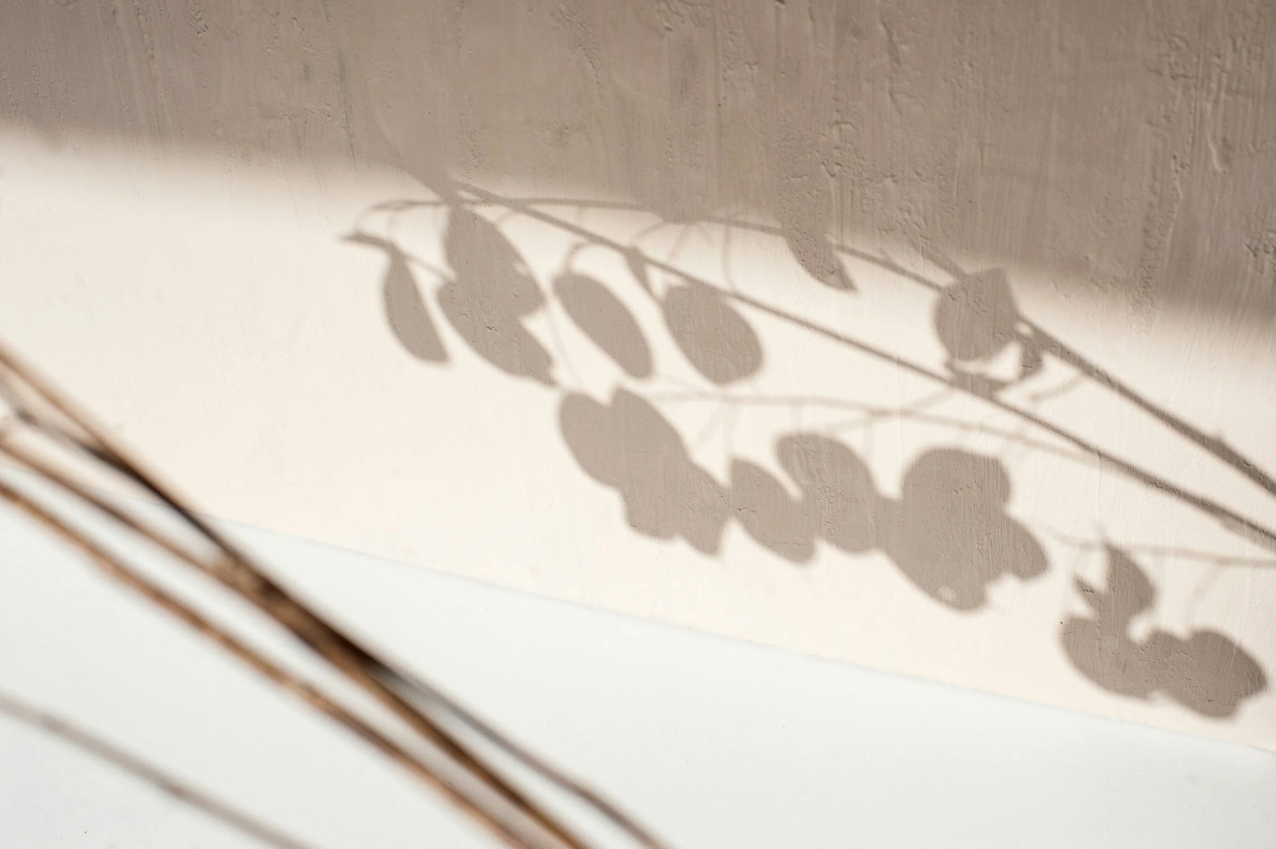 Shadow of leaves on a beige-colored wall.