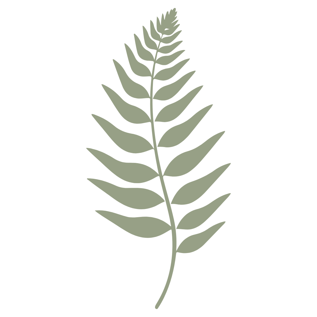 The fern icon that represents Fern Psychiatry.