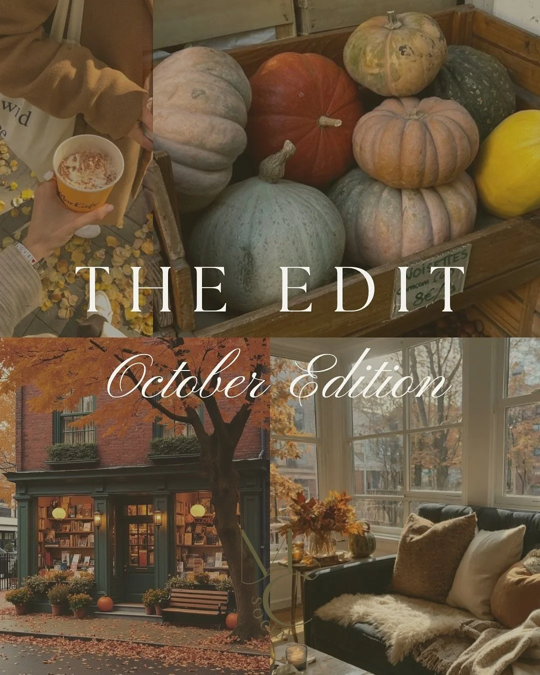 🍂The Edit: October Trends 🍂

October is all about moody, romanticized content. Instagram is leaning into cinematic cuts and nostalgic edits, TikTok is showing cozy wisdom-in-a-cup moments and playful transitions, and Pinterest is filled with fall r