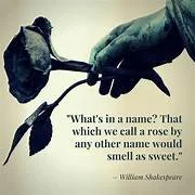 What’s in a name?