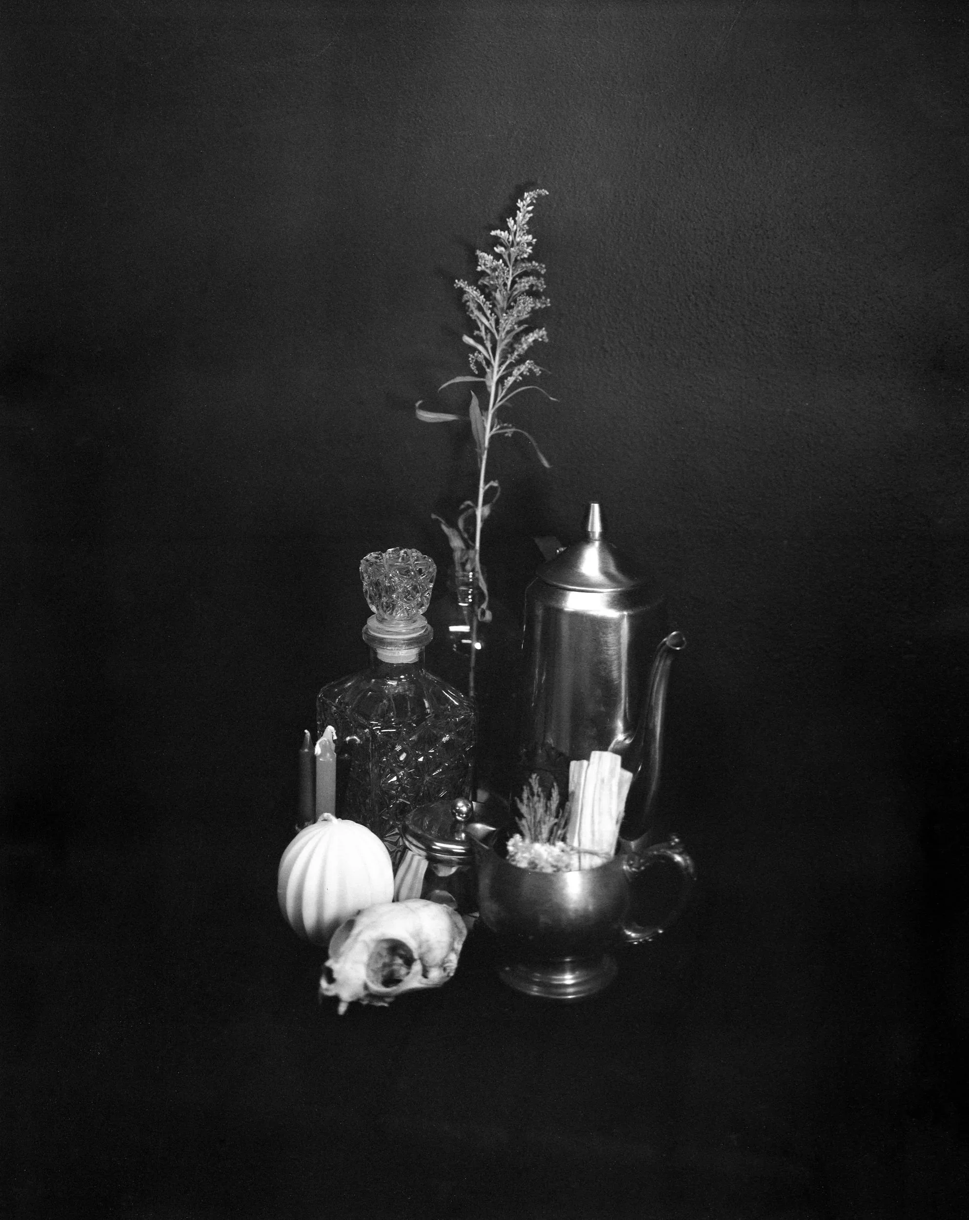 B&W Negative