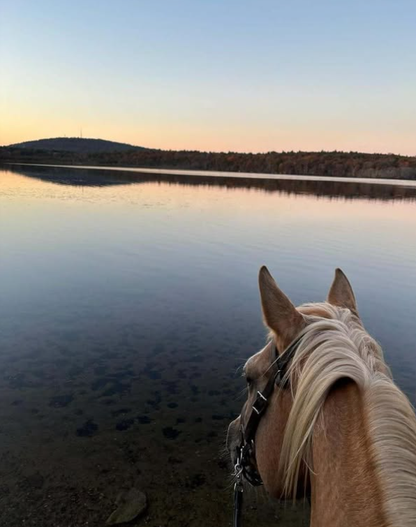 Fall Horse Trail Ride & Trillium Meet Up