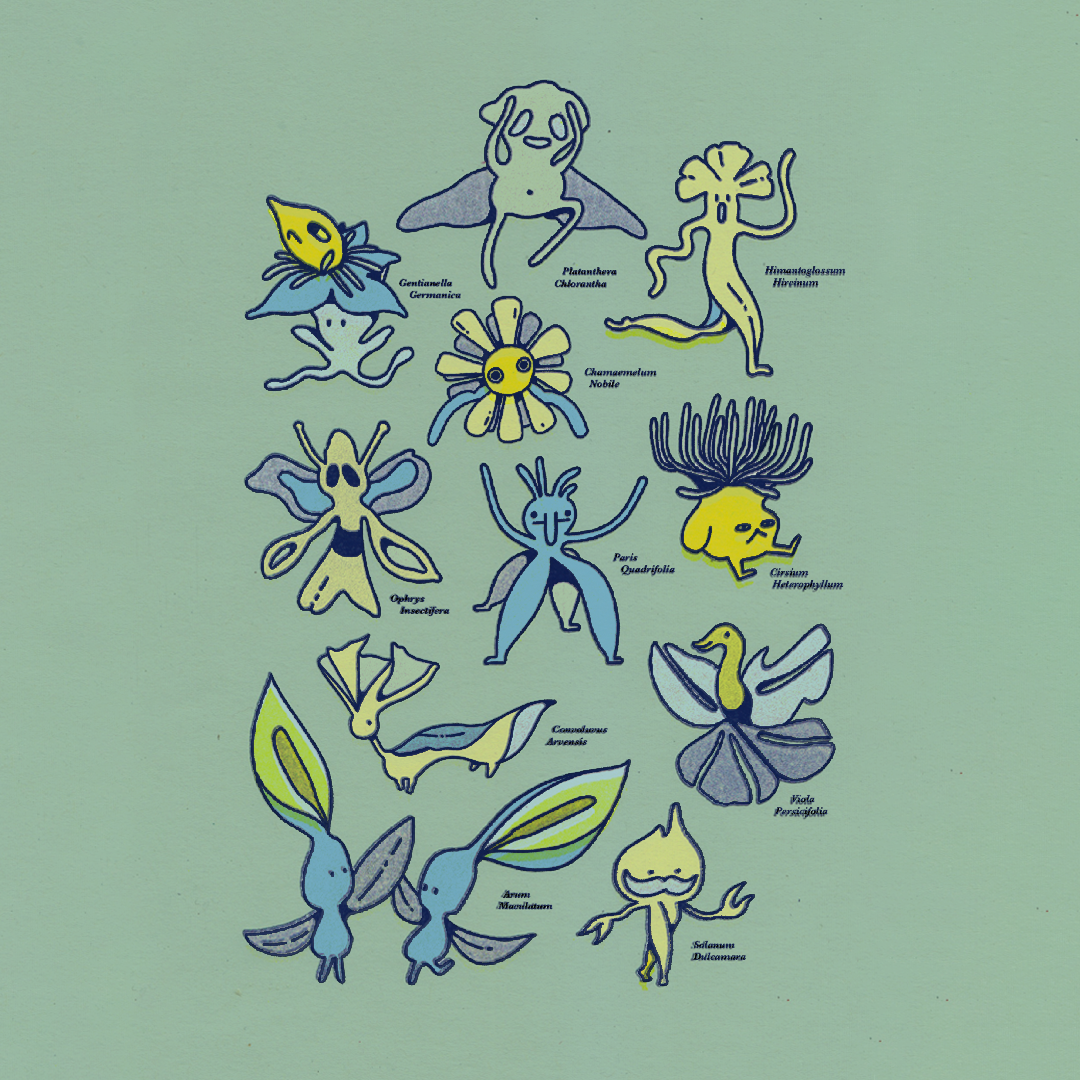 Illustration of various fantasy creatures with their scientific names on a green background.