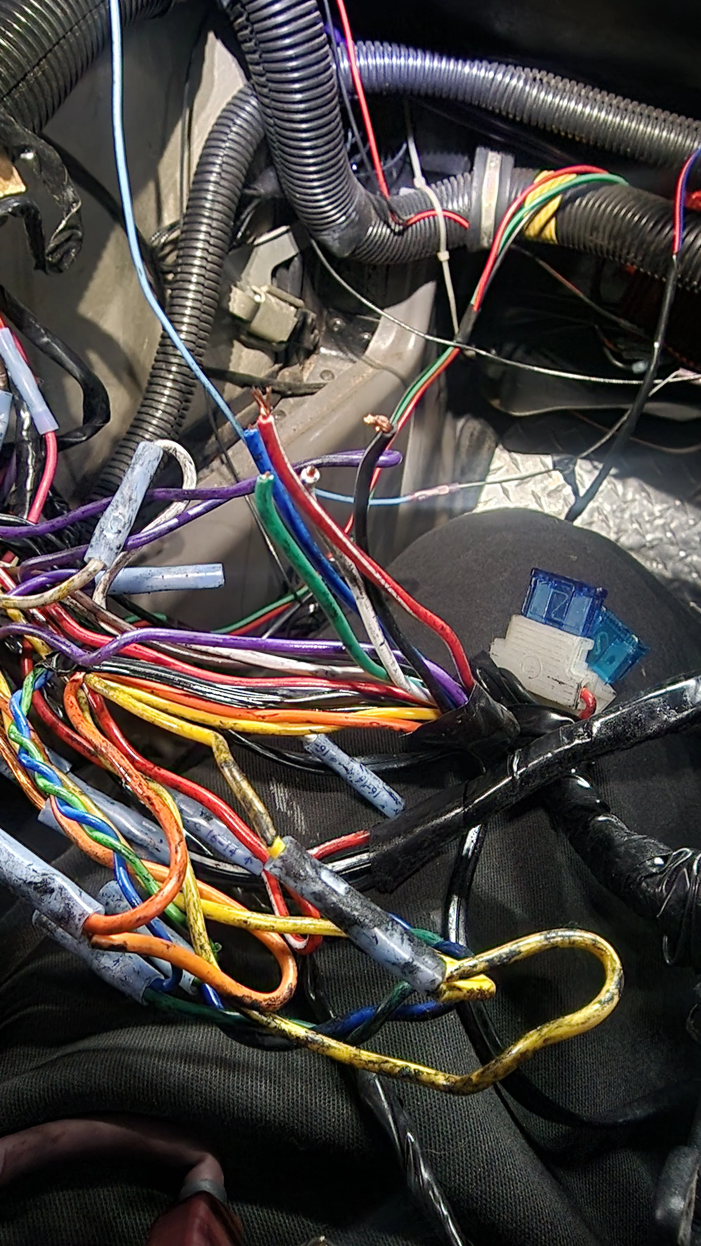 20250116_130120.jpg