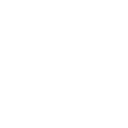 Team Koki_W Logo_.png