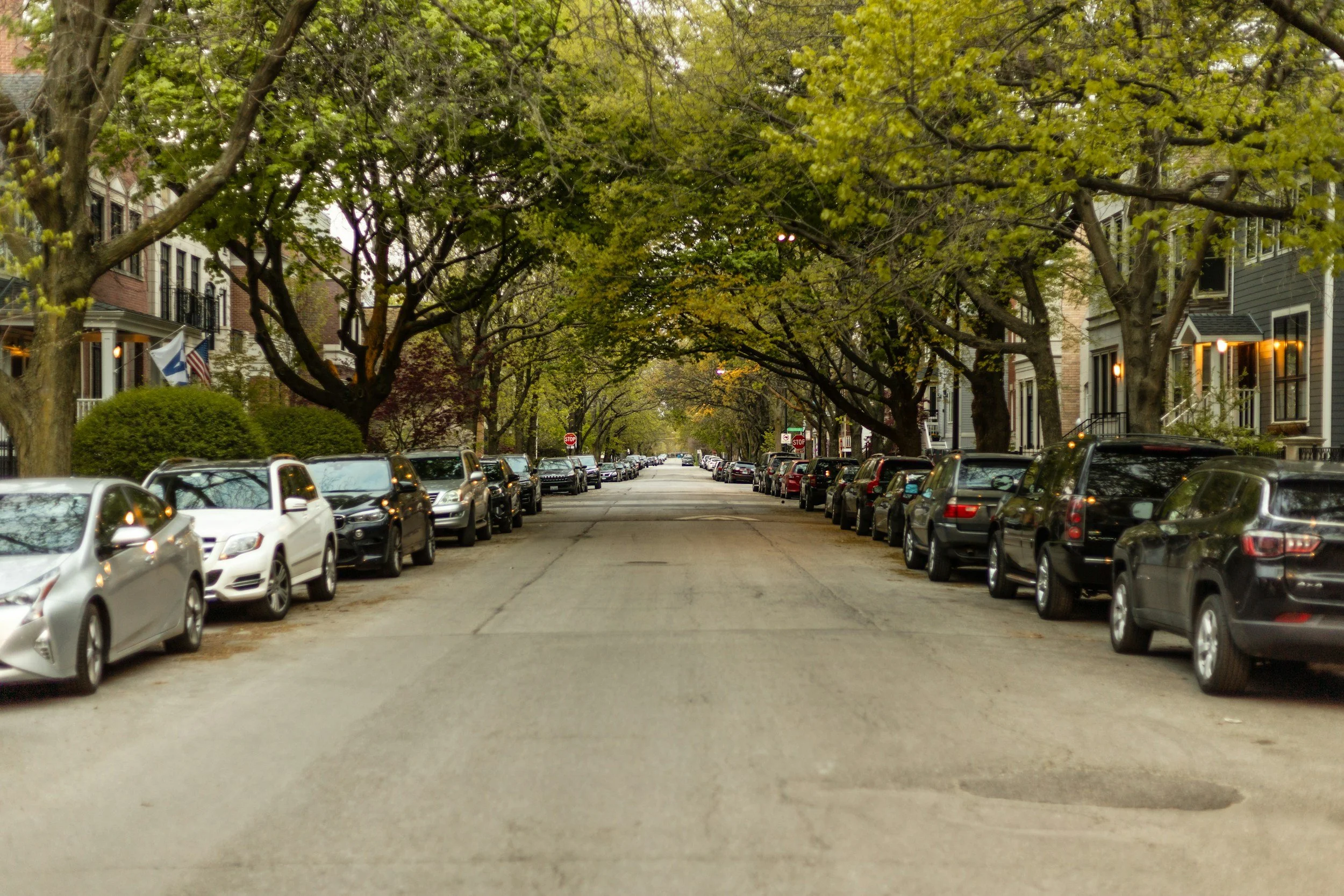 A tree-lined residential street with parked cars on both sides and houses with porches and lights.